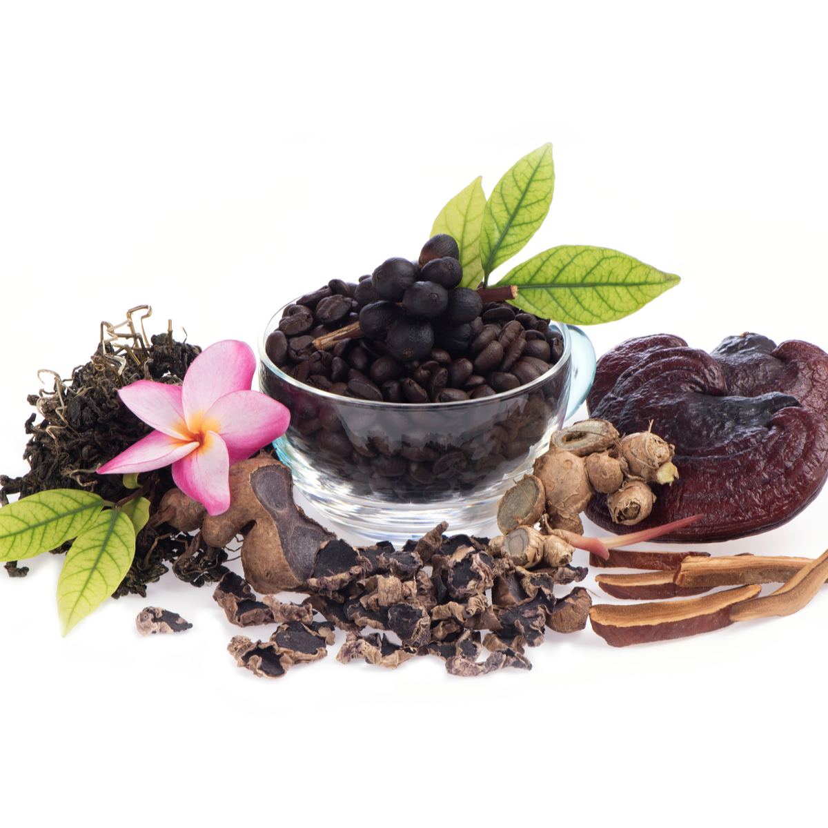 herbal exracts - elit pharma